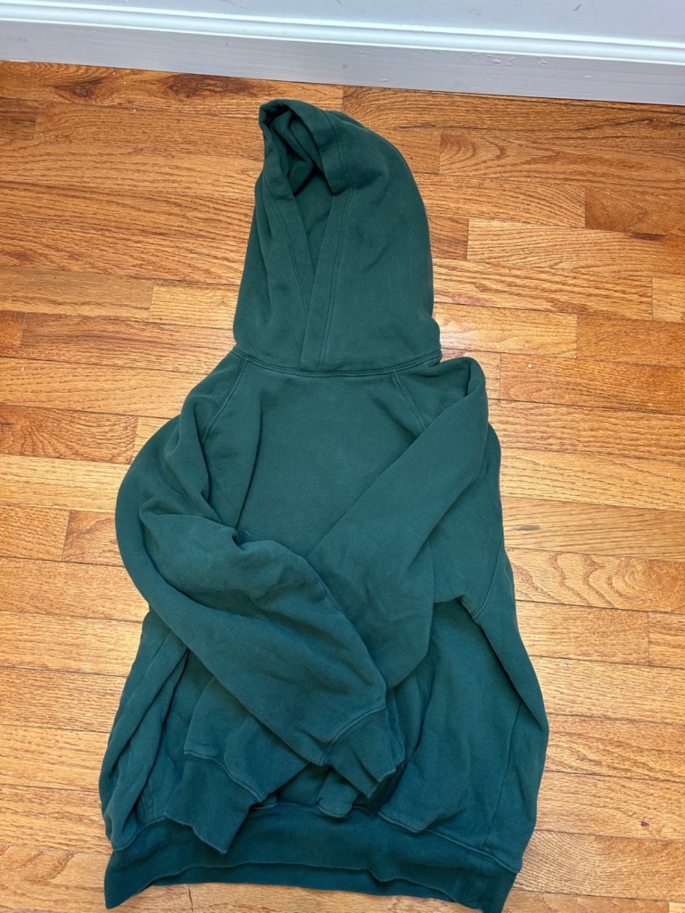 Aritzia Teal Hooded Sweatfleece Pullover